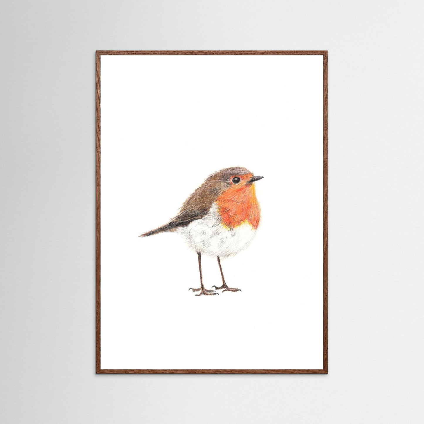 Robin Art Print | Wildlife Wall Art for Nature Lovers