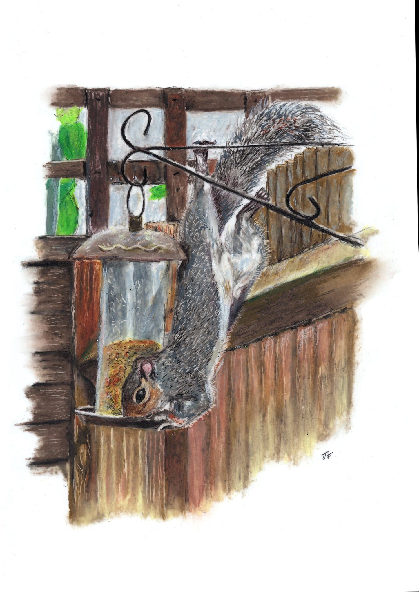 Squirrel vs Birdfeeder Print Art by Jay