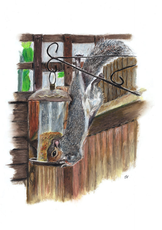 Squirrel Art Original Artwork Print – Hand-Drawn Wildlife Wall Art (A4) Art by Jay | Wildlife Art