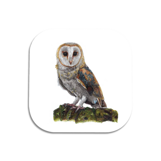 Barn Owl Coaster - Wildlife Art Drinks Coaster Art by Jay | Wildlife Art