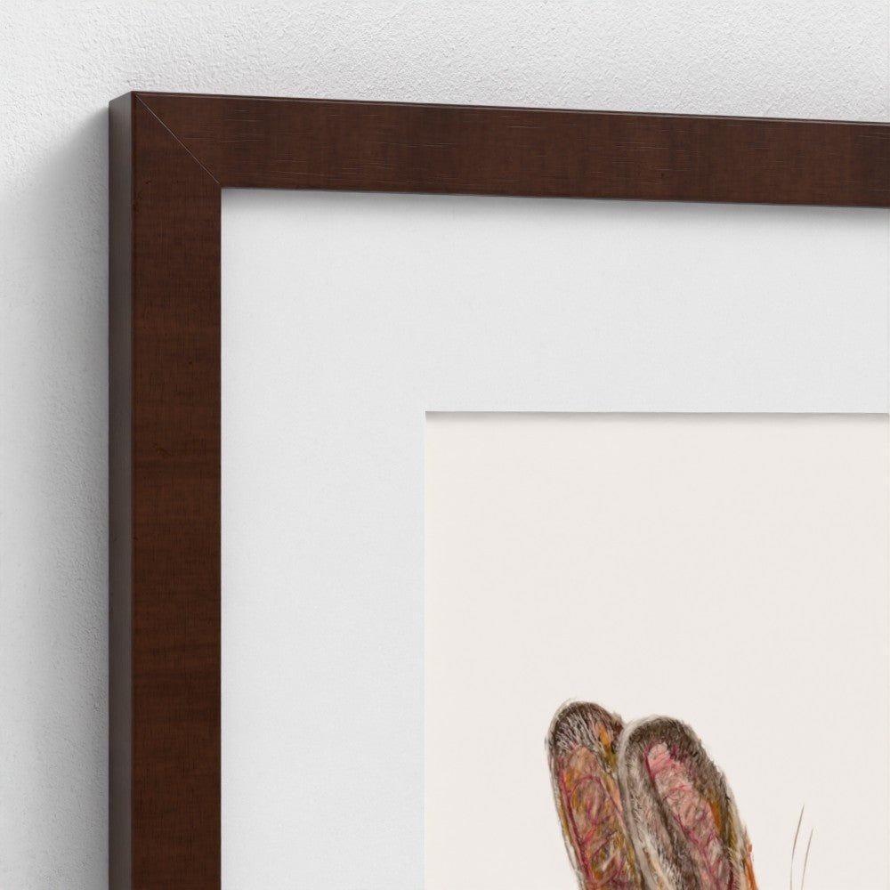 Hare Art Print | British Wildlife Wall Art | Open Edition - Art by Jay | Wildlife Art