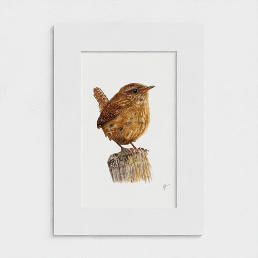 Wren Art Print | Grey Background | British Wildlife Wall Art | Open Edition prodigi