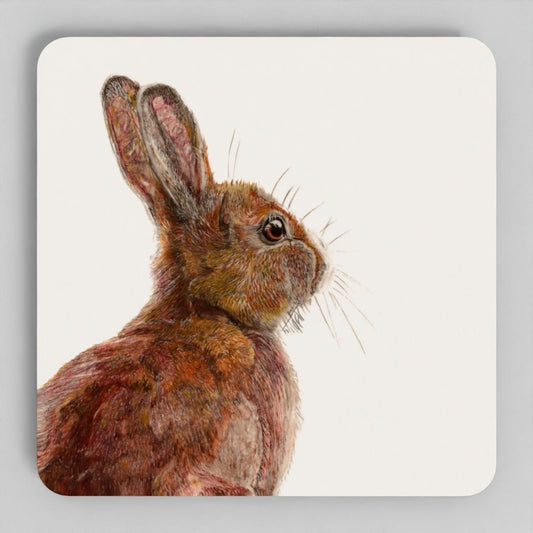Hare Coaster Set – British Wildlife Art Coasters (Set of 4) Art by Jay | Wildlife Art