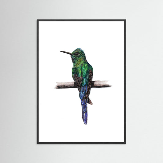 Hummingbird Art Print | Wildlife Wall Art for Nature Lovers