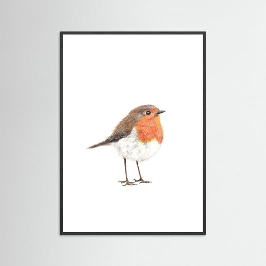 Robin Art Print | Wildlife Wall Art for Nature Lovers