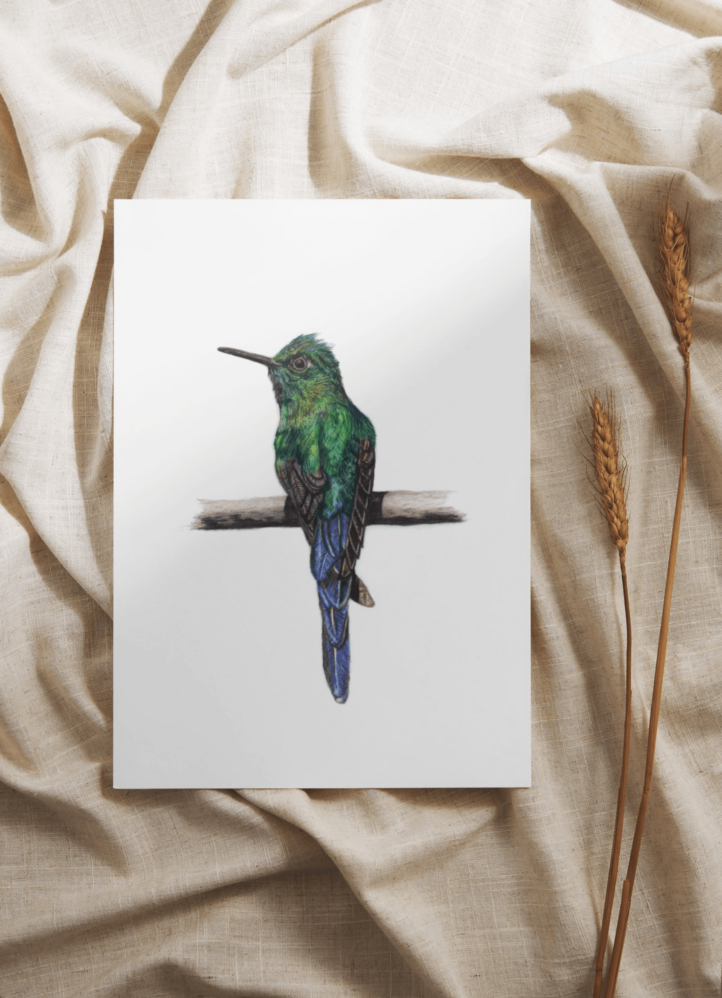 Hummingbird Collection - Art by Jay | Wildlife Art