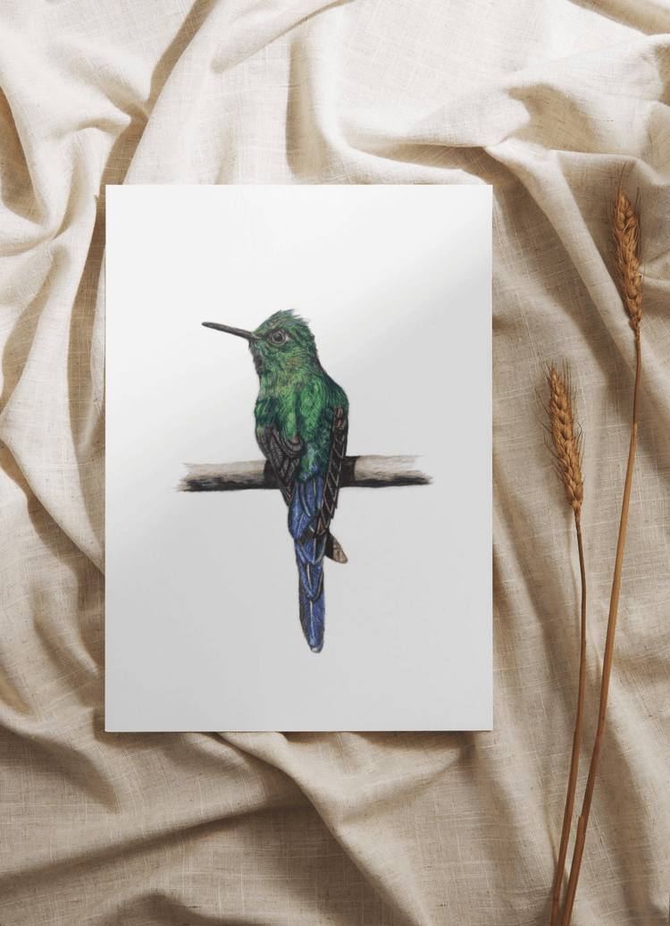 Hummingbird Collection - Art by Jay | Wildlife Art