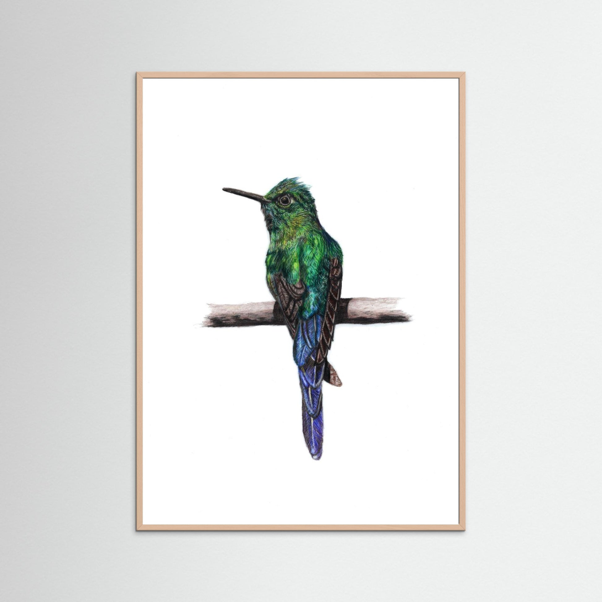Hummingbird Art Print | Wildlife Wall Art for Nature Lovers