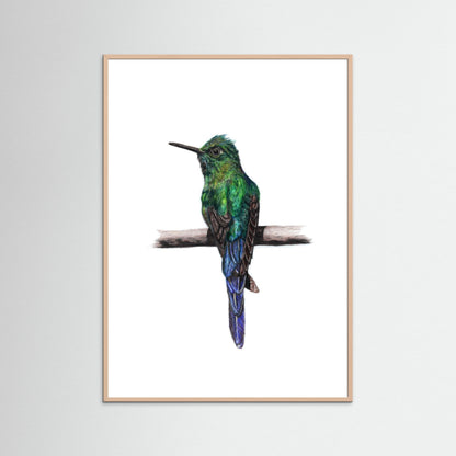 Hummingbird Art Print | Wildlife Wall Art for Nature Lovers