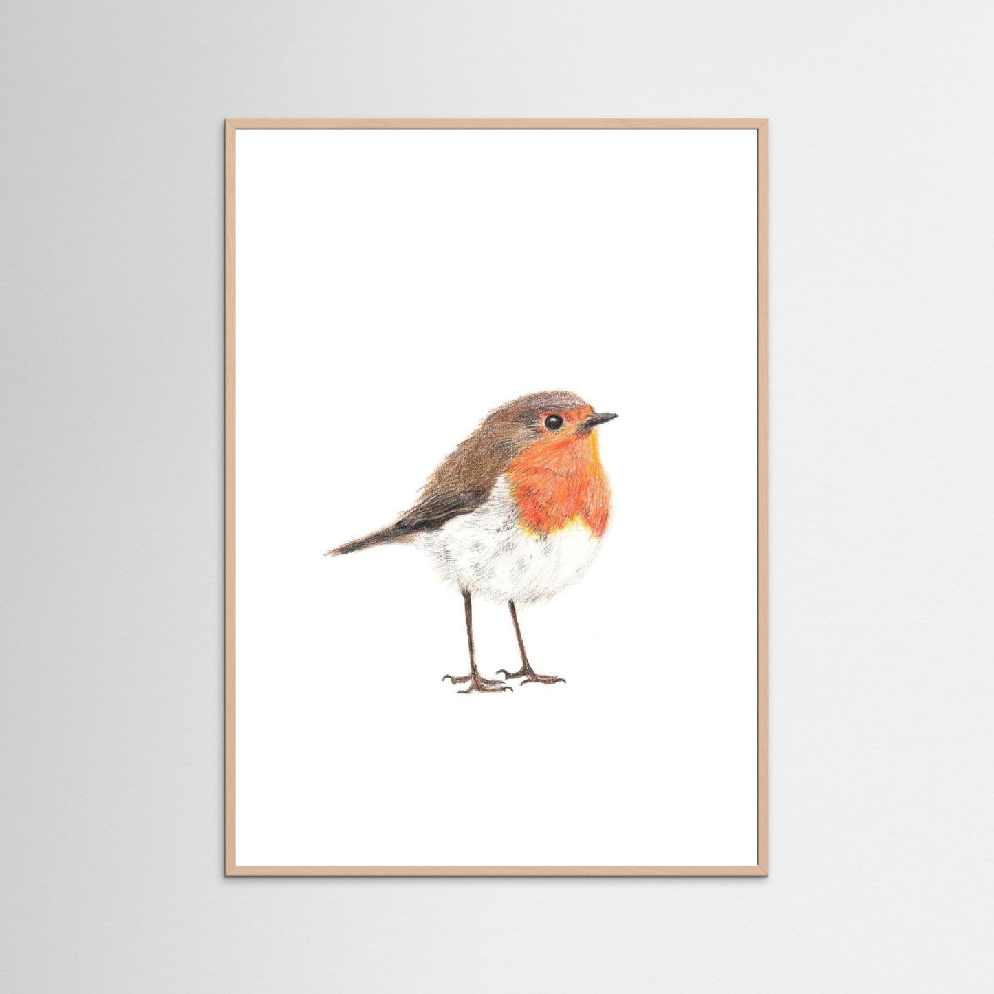 Robin Art Print | Wildlife Wall Art for Nature Lovers