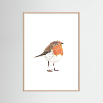 Robin Art Print | Wildlife Wall Art for Nature Lovers