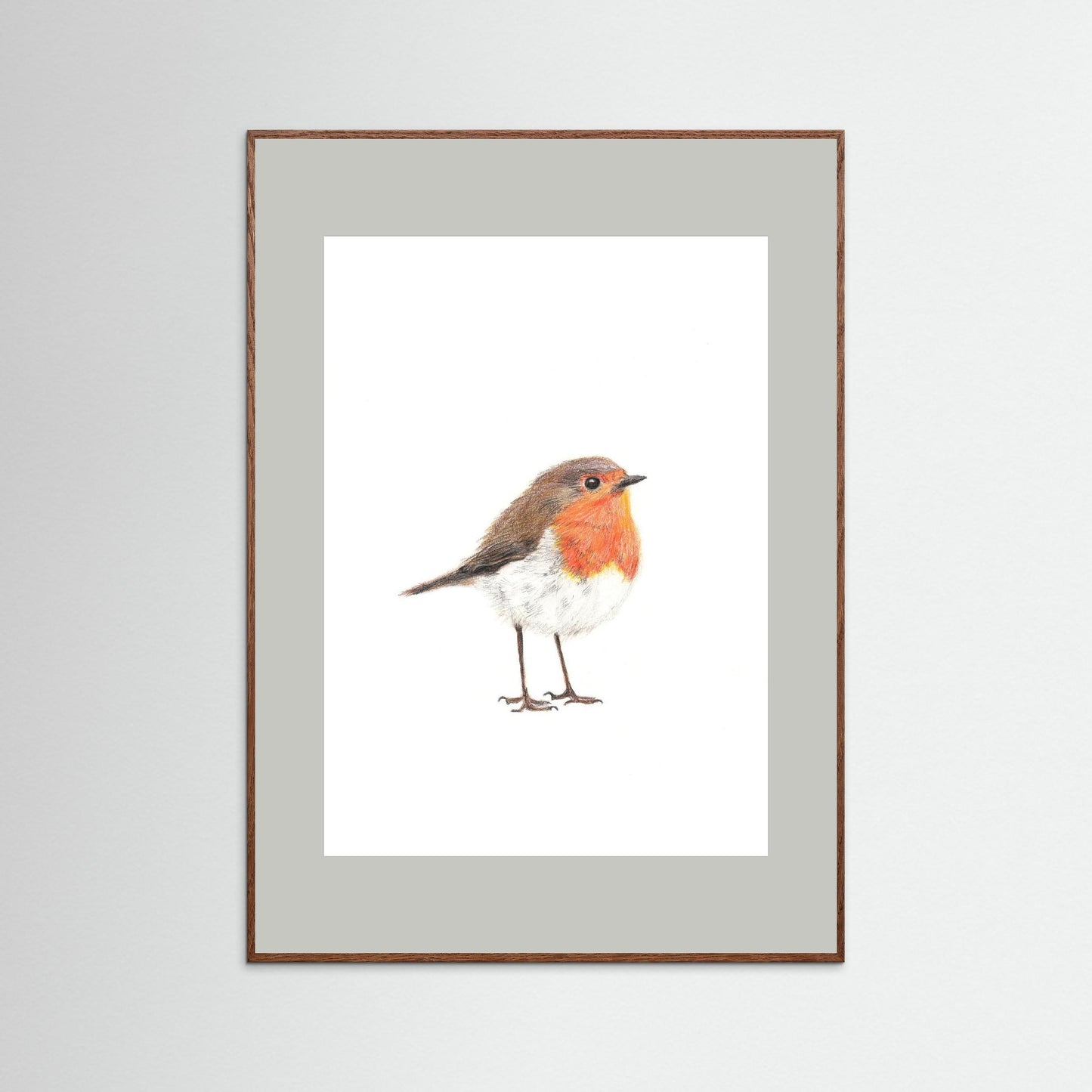 Robin Art Print | Wildlife Wall Art for Nature Lovers