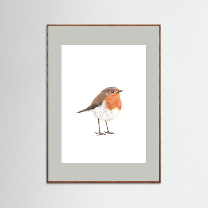 Robin Art Print | Wildlife Wall Art for Nature Lovers