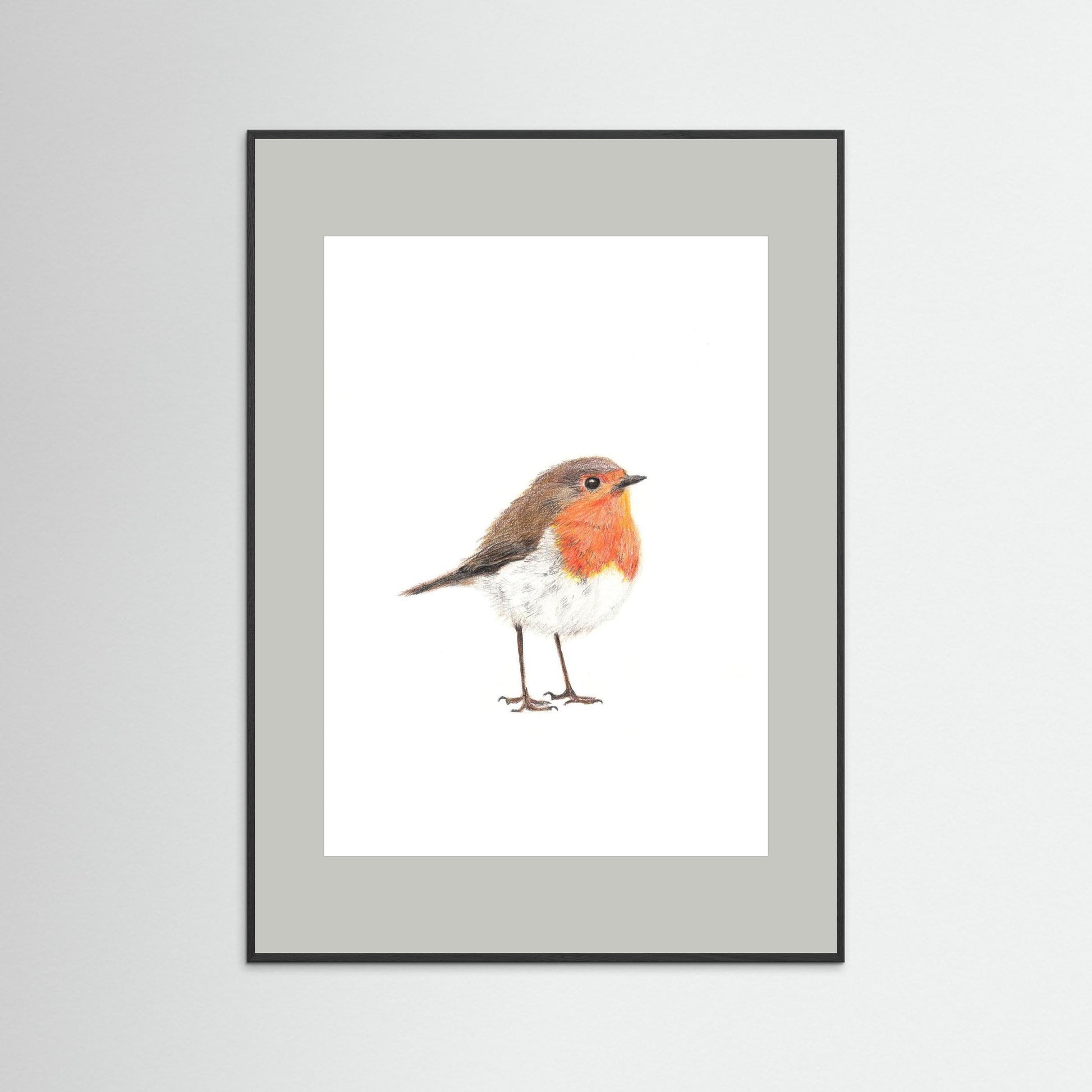 Robin Art Print | Wildlife Wall Art for Nature Lovers