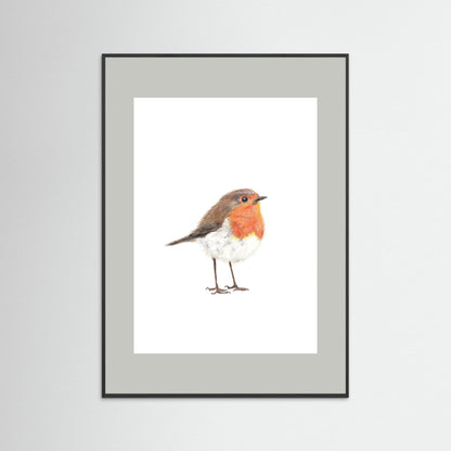 Robin Art Print | Wildlife Wall Art for Nature Lovers