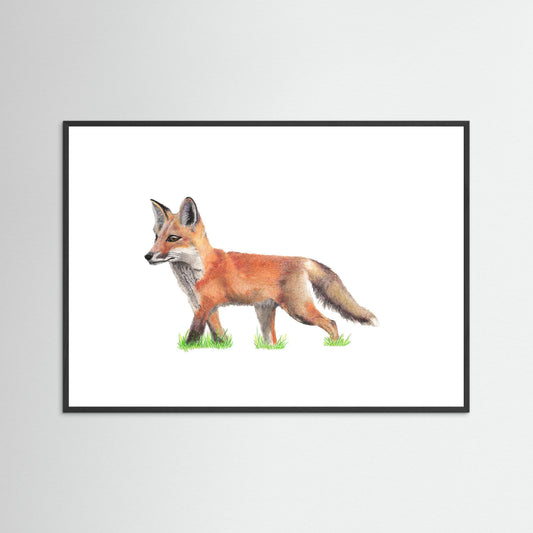 Fox Wildlife Framed Art Print – Hand-Drawn Woodland Illustration | Cosy Cottage Decor, Nature Lover Gift