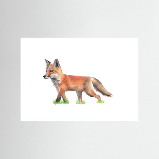 Fox Wildlife Framed Art Print – Hand-Drawn Woodland Illustration | Cosy Cottage Decor, Nature Lover Gift