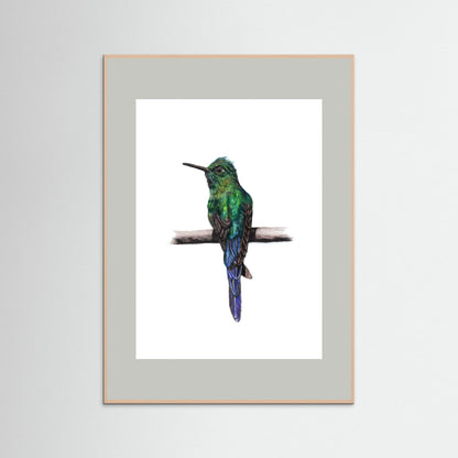 Hummingbird Art Print | Wildlife Wall Art for Nature Lovers