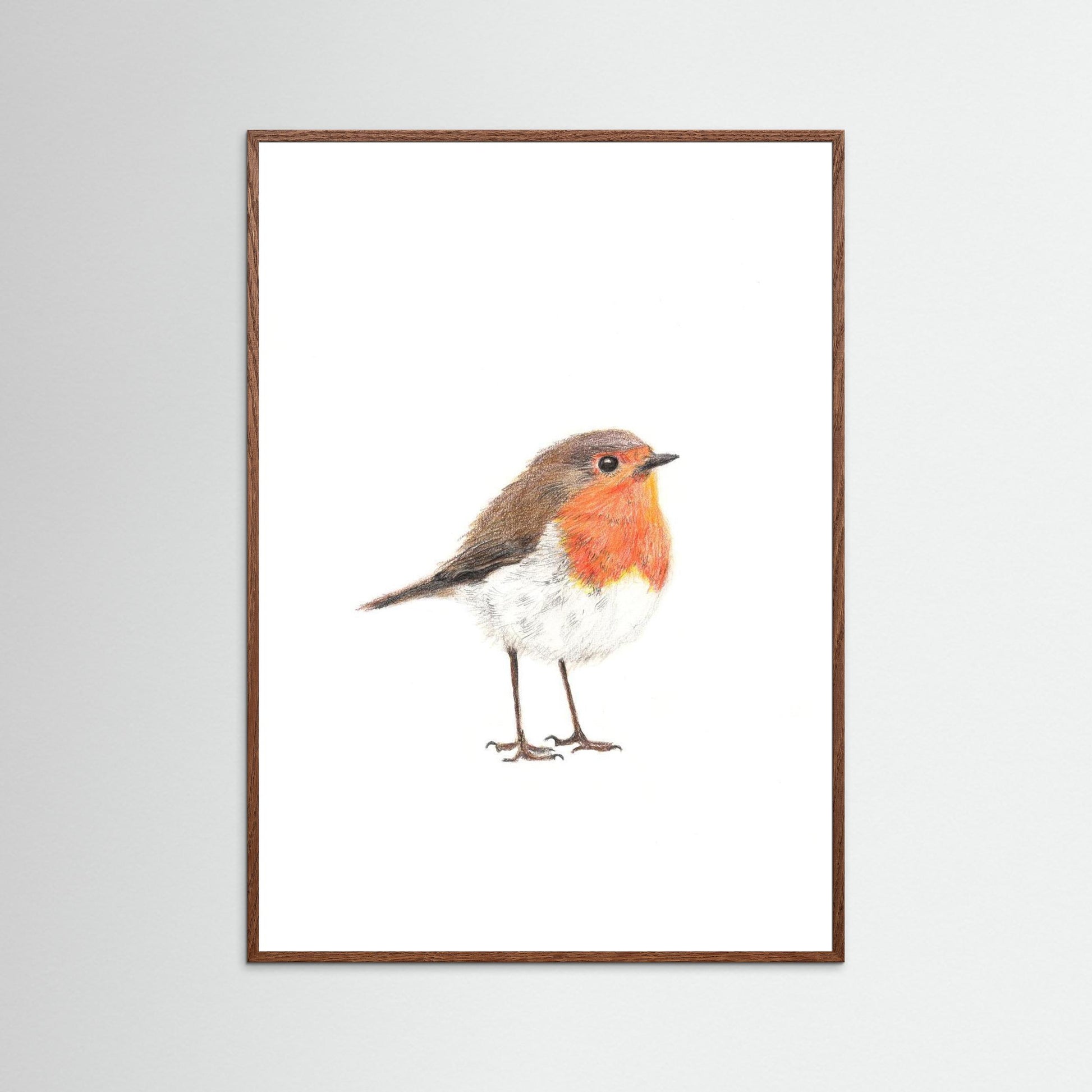 Robin Art Print | Wildlife Wall Art for Nature Lovers