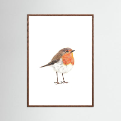 Robin Art Print | Wildlife Wall Art for Nature Lovers