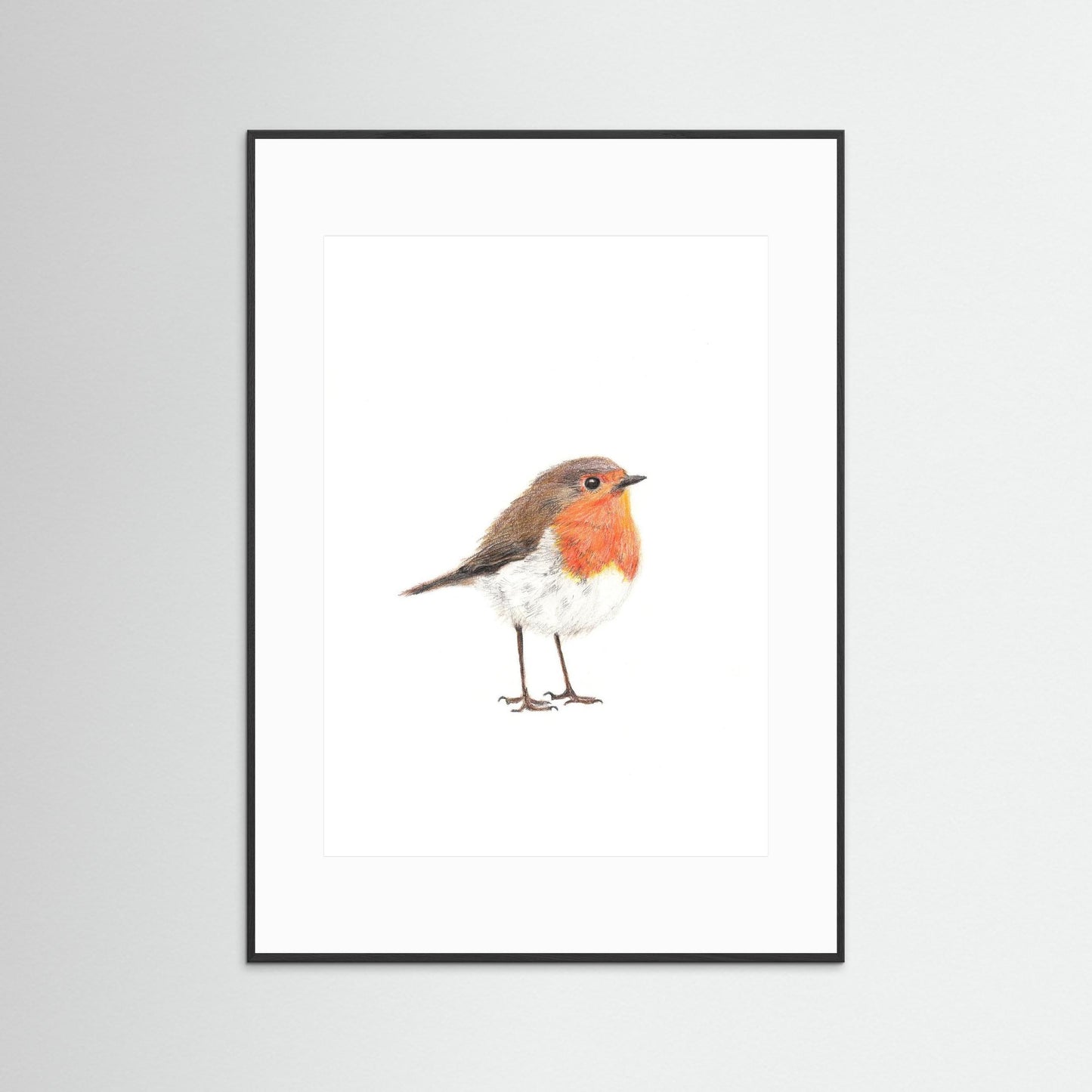 Robin Art Print | Wildlife Wall Art for Nature Lovers