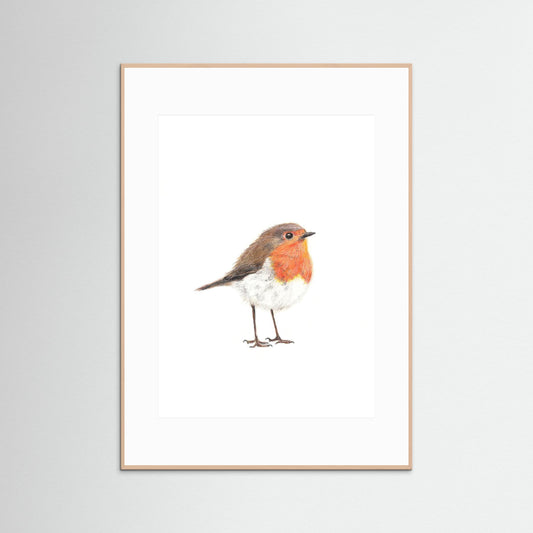 Robin Art Print | Wildlife Wall Art for Nature Lovers
