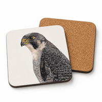 Peregrine falcon coaster set featuring bird of prey artwork
