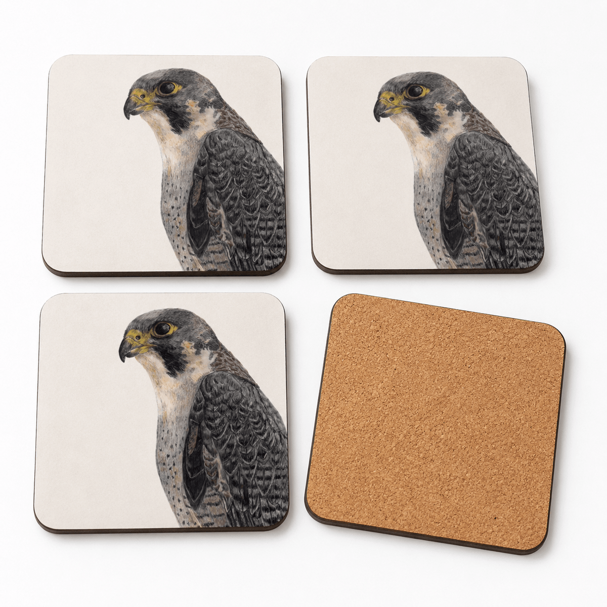 Peregrine Falcon Coaster Set – British Bird of Prey Art Tradeprint