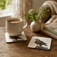 Red Kite coaster set featuring Country Skies bird of prey artwork