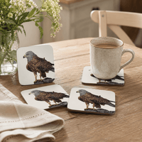 Red Kite coaster set featuring Country Skies bird of prey artwork