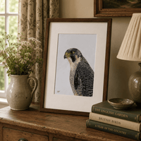 On Watch - Peregrine Falcon Original Artwork | Coloured Pencil Wildlife Art Art by Jay | Wildlife Art