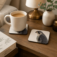 Peregrine Falcon Coaster Set – British Bird of Prey Art Tradeprint