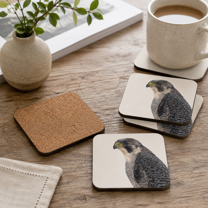 Peregrine Falcon Coaster Set – British Bird of Prey Art Tradeprint
