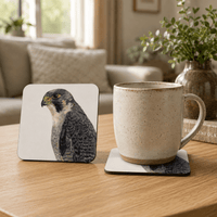 Peregrine Falcon Coaster Set – British Bird of Prey Art Tradeprint