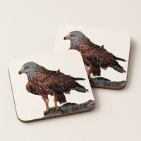 Red Kite coaster set featuring Country Skies bird of prey artwork