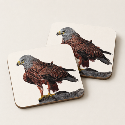 Red Kite Coaster Set – British Bird of Prey Art