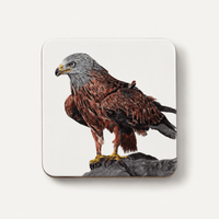 Red Kite Coaster Set – British Bird of Prey Art Tradeprint