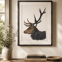 Stag wildlife wall art print by Art by Jay