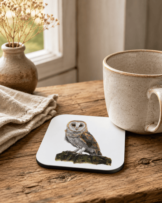 Barn Owl Coaster superfastpod