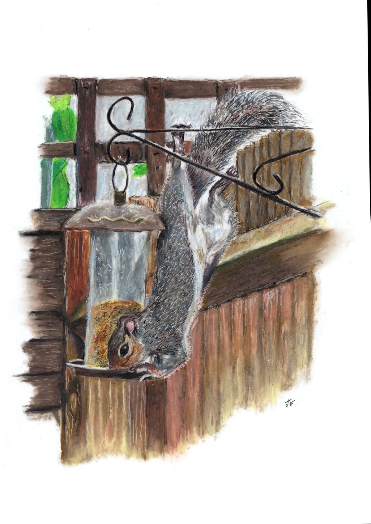 Squirrel vs Birdfeeder Print Art by Jay