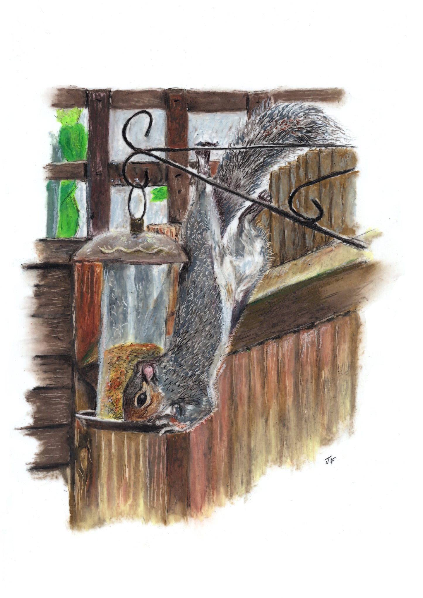 Squirrel Art Original Artwork Print – Hand-Drawn Wildlife Wall Art (A4)