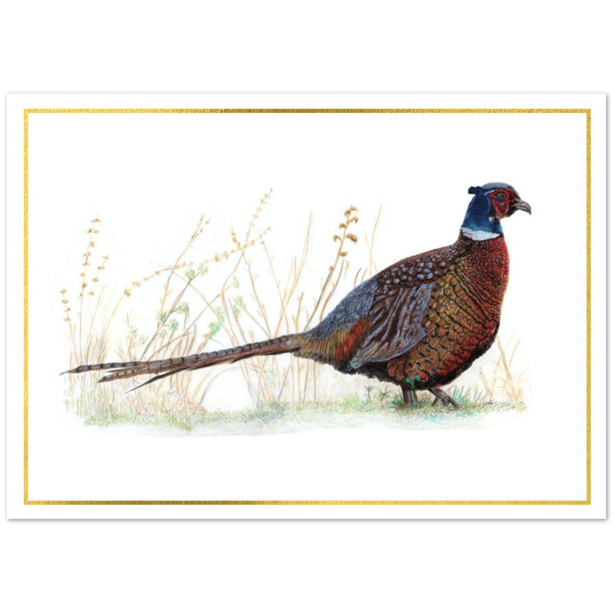 Pheasant A6 greeting card by Art by Jay, front view