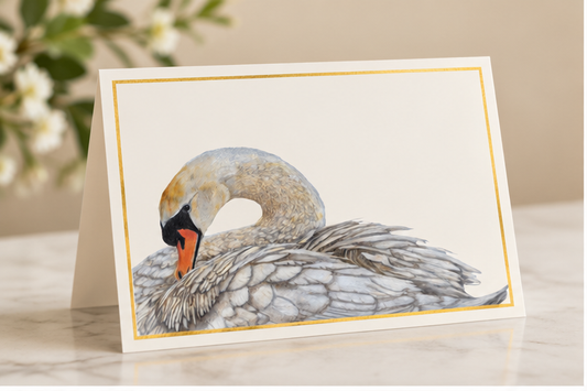 Swan greeting card by Art by Jay, product hero