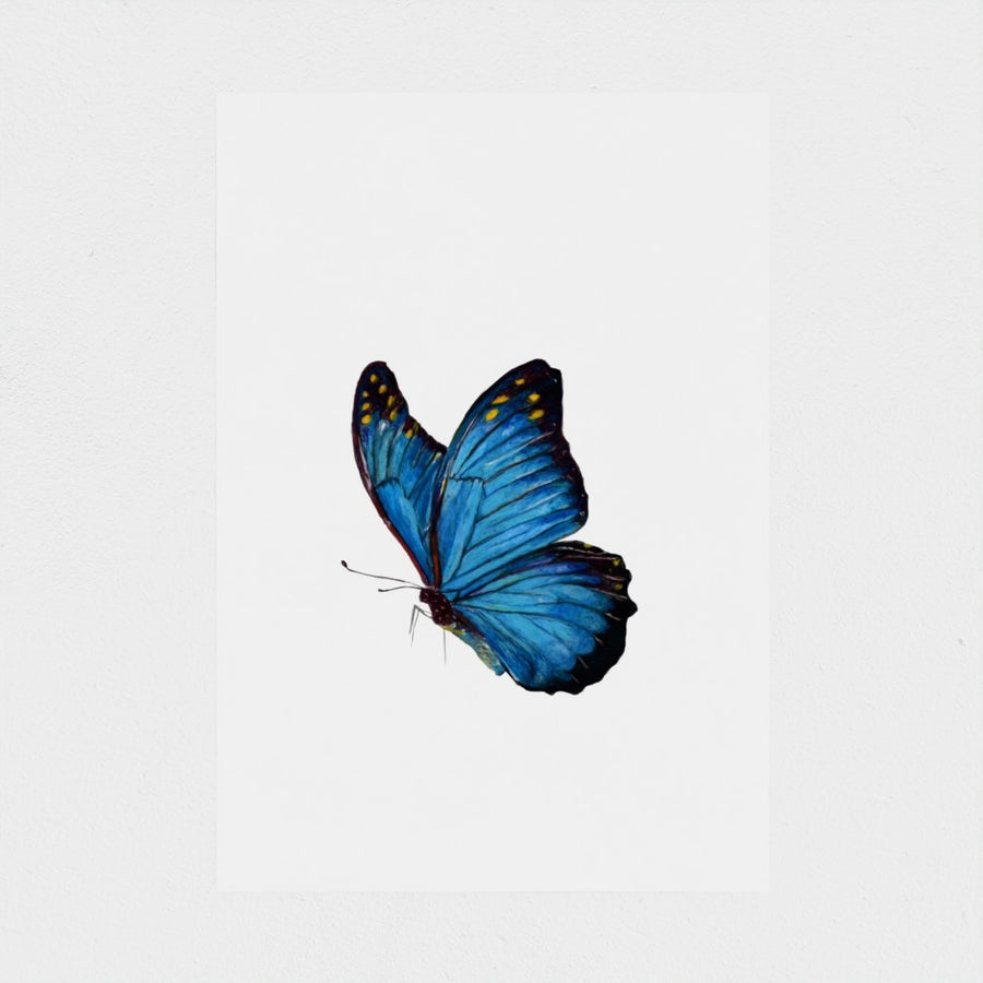 Blue Butterfly