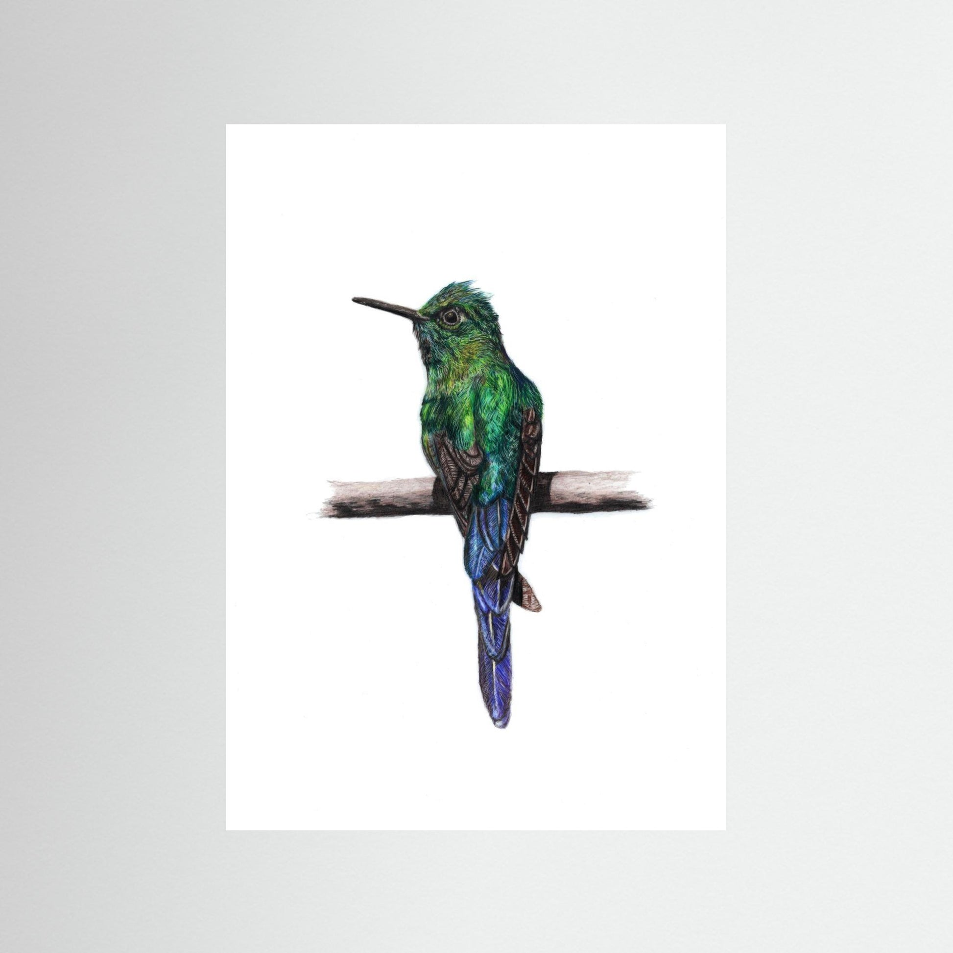 Hummingbird Art Print | Wildlife Wall Art for Nature Lovers