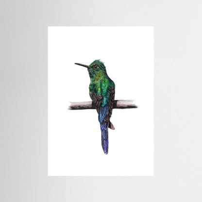 Hummingbird Art Print | Wildlife Wall Art for Nature Lovers