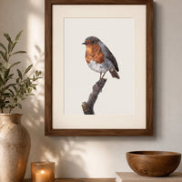 First Light robin wildlife art print