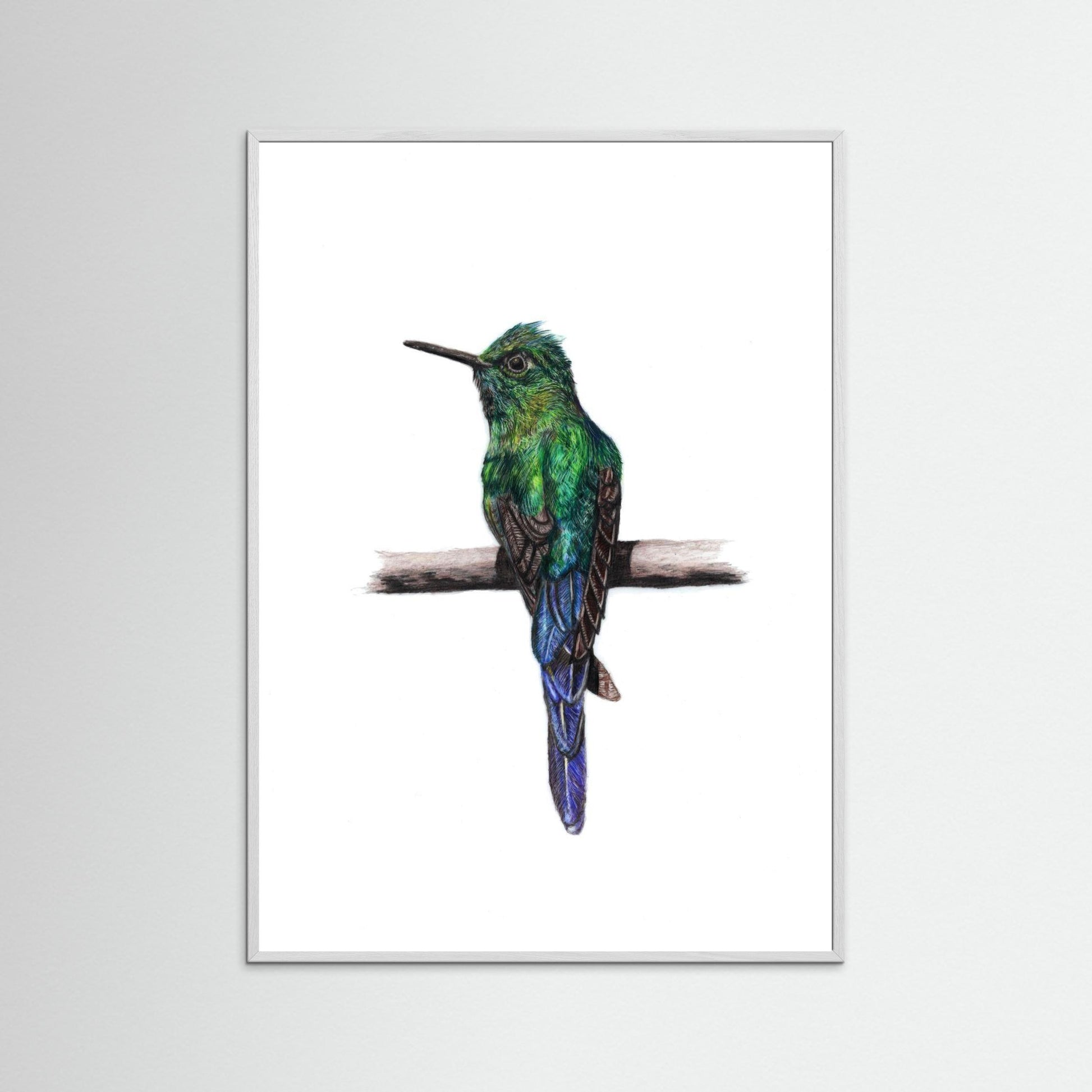 Hummingbird Art Print | Wildlife Wall Art for Nature Lovers