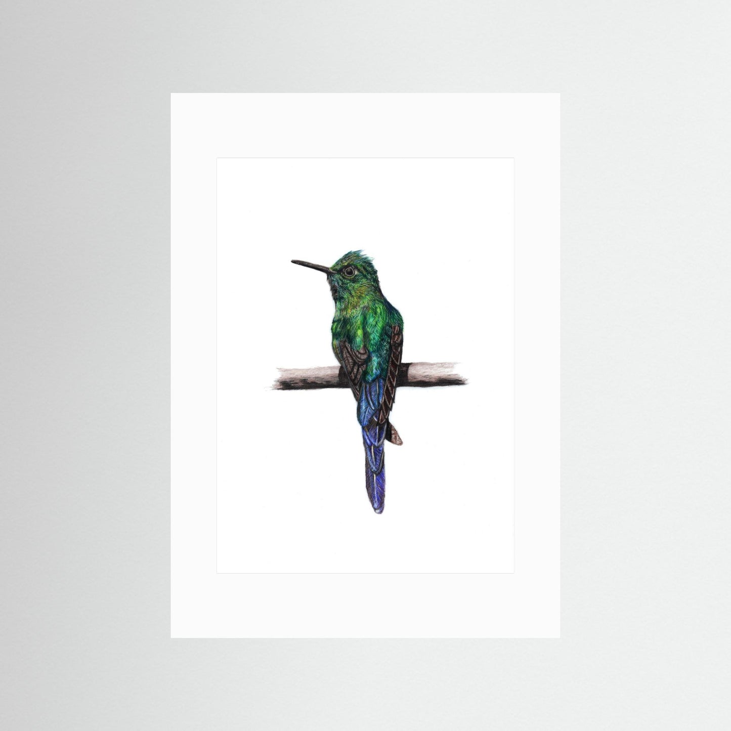 Hummingbird Art Print | Wildlife Wall Art for Nature Lovers