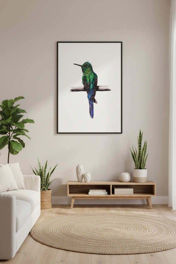 Hummingbird Wall Art Print – Fine Art Wildlife Illustration Art by Jay | Wildlife Art